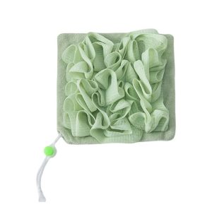 Prosop de Baie  2in1 cu Burete din Plasa 17 x 17 cm Verde