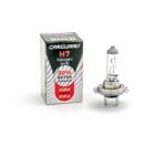 Bec halogen H7 55W