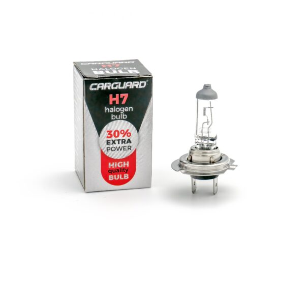 Bec halogen H7 55W