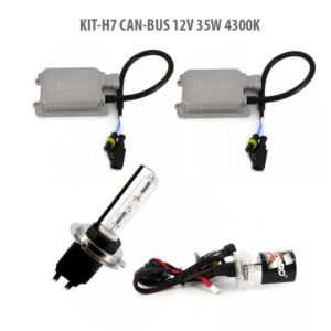 H7 CAN-BUS 12V 55W 4300K