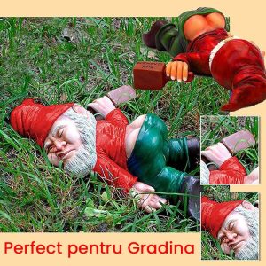Imagine produs