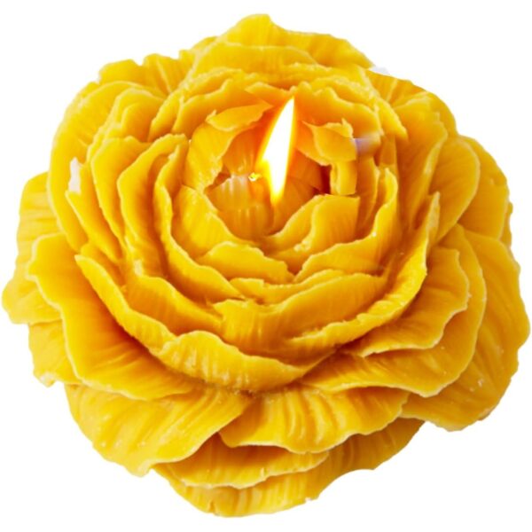 Lumanare Parfumata  Model Trandafir Ardere 10h 70 g 7.5 x 3.5 cm Parfum de Citrice Portocaliu