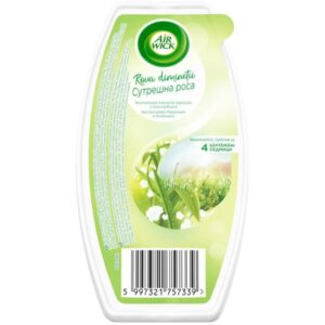 Odorizant Airwick 150 g Gel Morning Rain